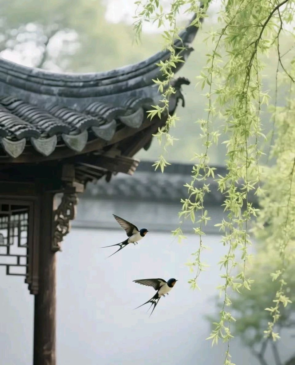 七绝 立春诗一组(外二首)文/张昕（图4）