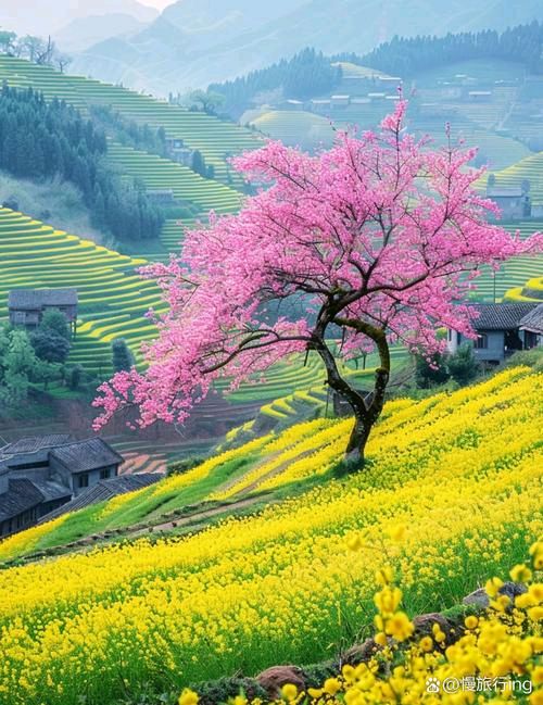 春发声（3）|巴彦诗协【1165】（图13）
