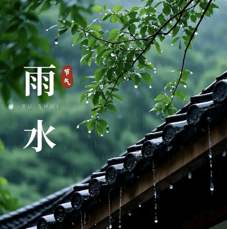 忆江南·雨水节令感吟金夜（兰州）（图3）