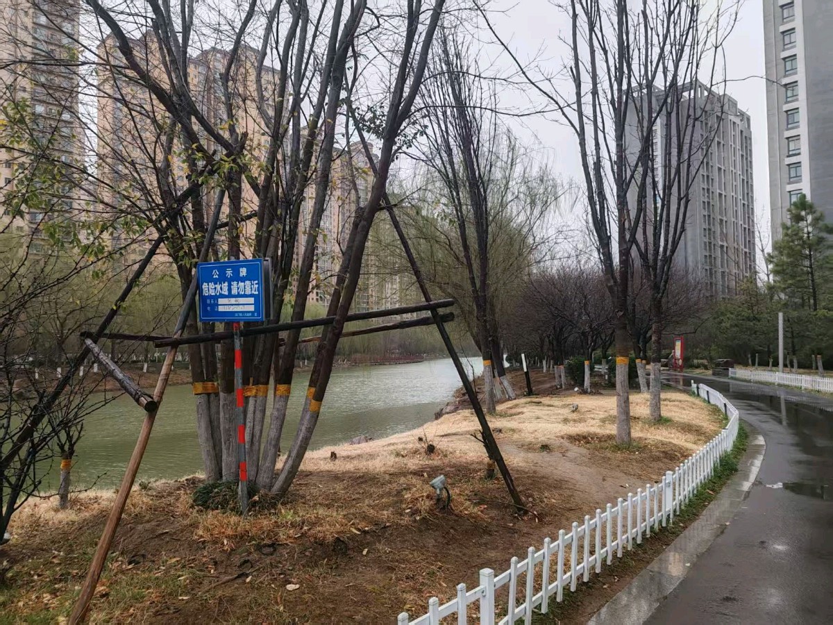 行香子·丙午人日晨事有记文/安曼（图5）