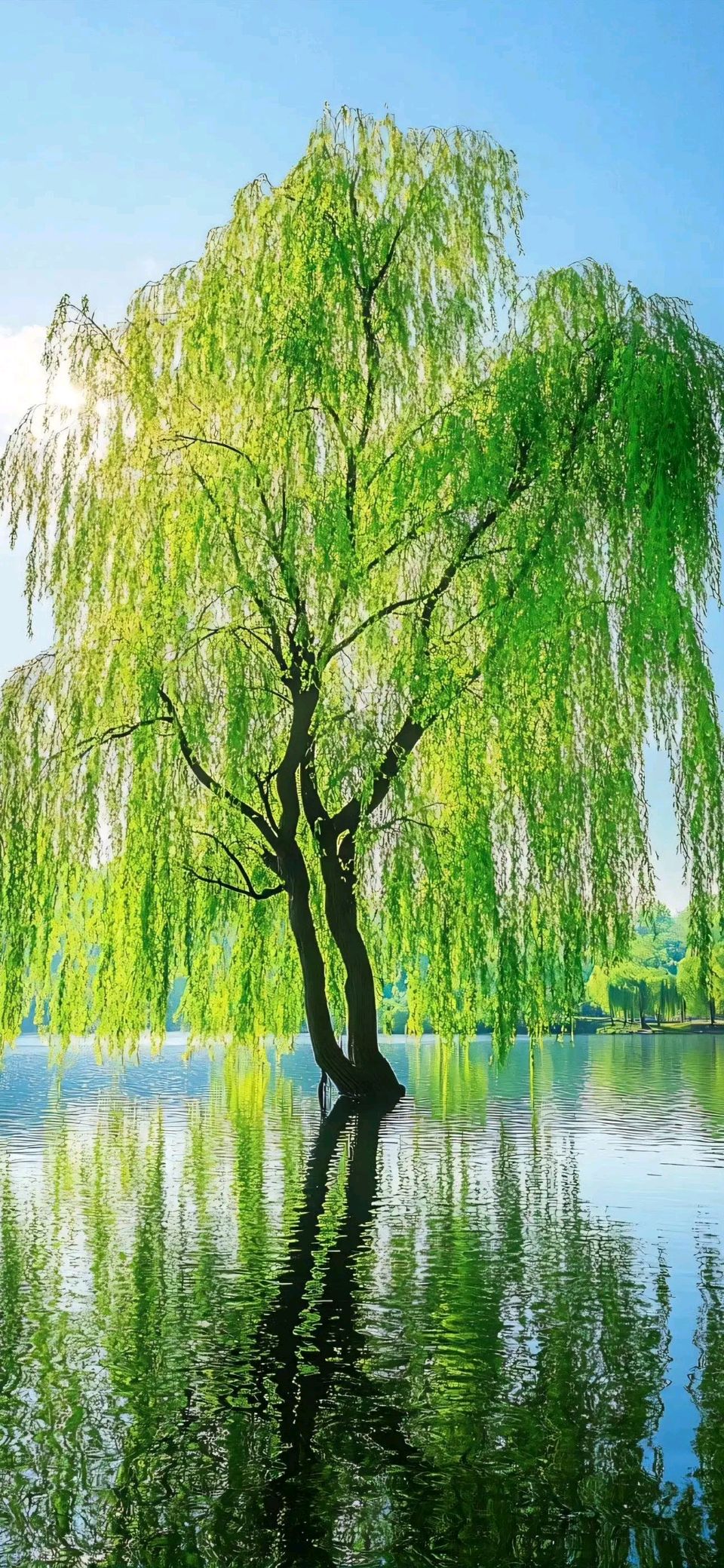 【神州源流诗苑】第1468期优秀近体诗周刊(图7)