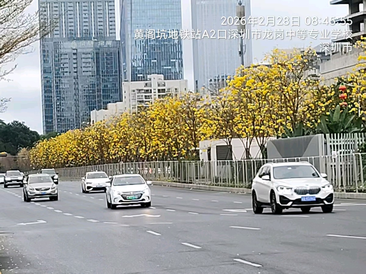 三元七绝诗~黄花风铃木/詹成（图5）