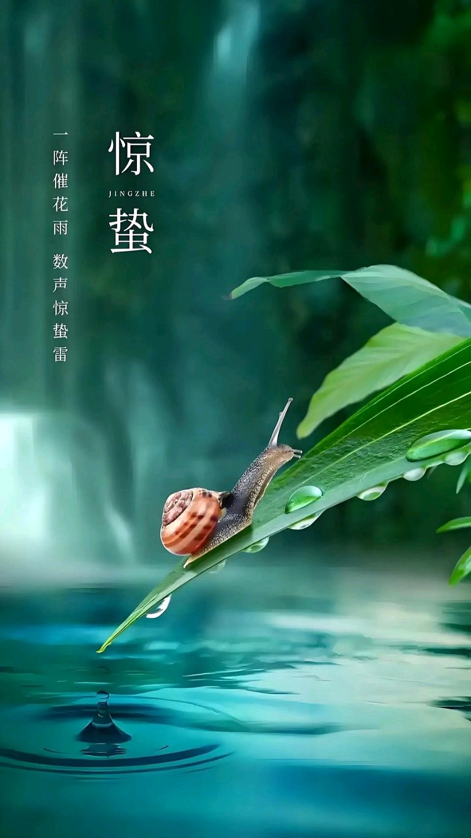 七律-惊蛰闲笔～杨景儒（北京）（图11）