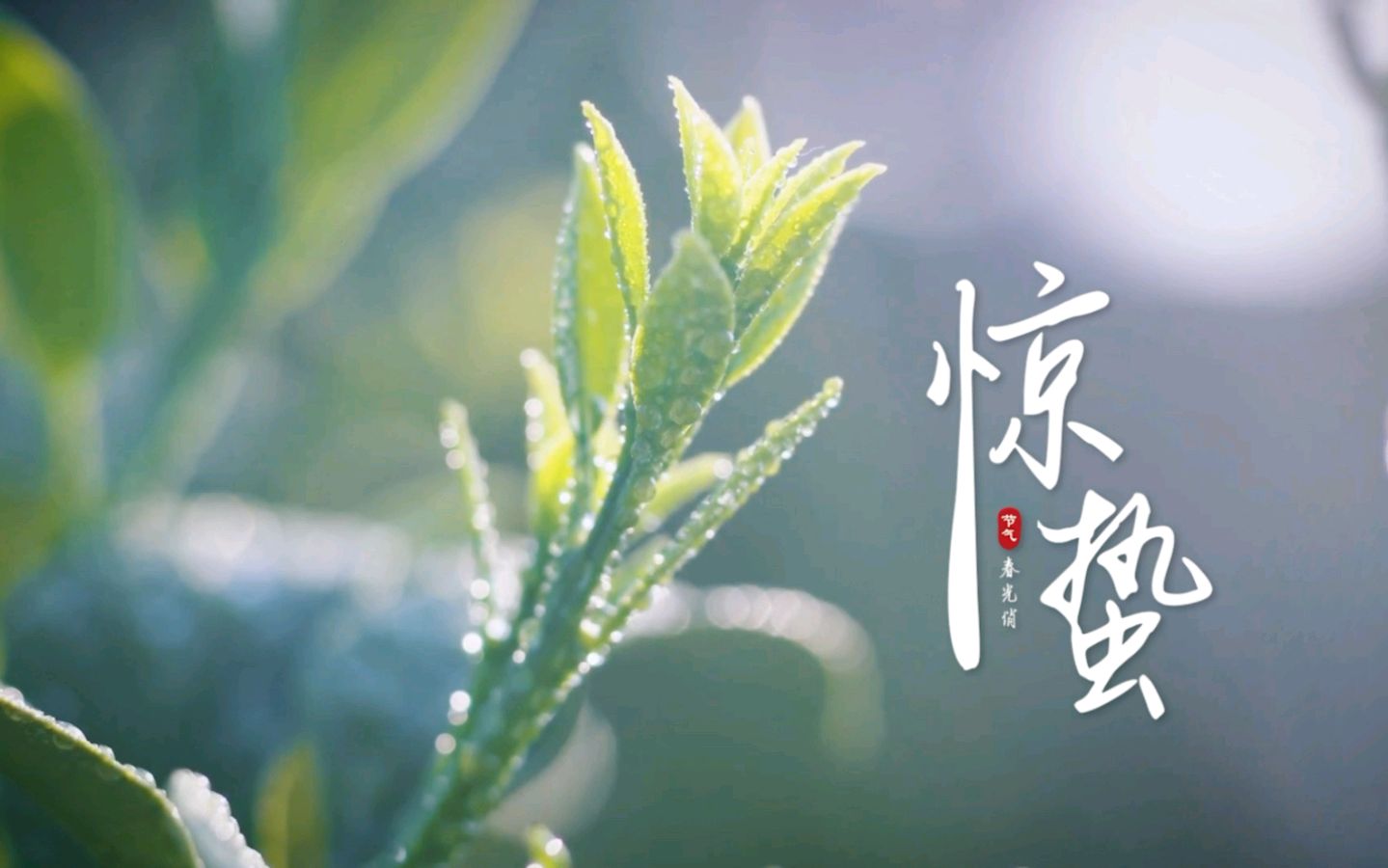 惊蛰涌动吟怀（外一首）于兴庆（陕西）（图15）