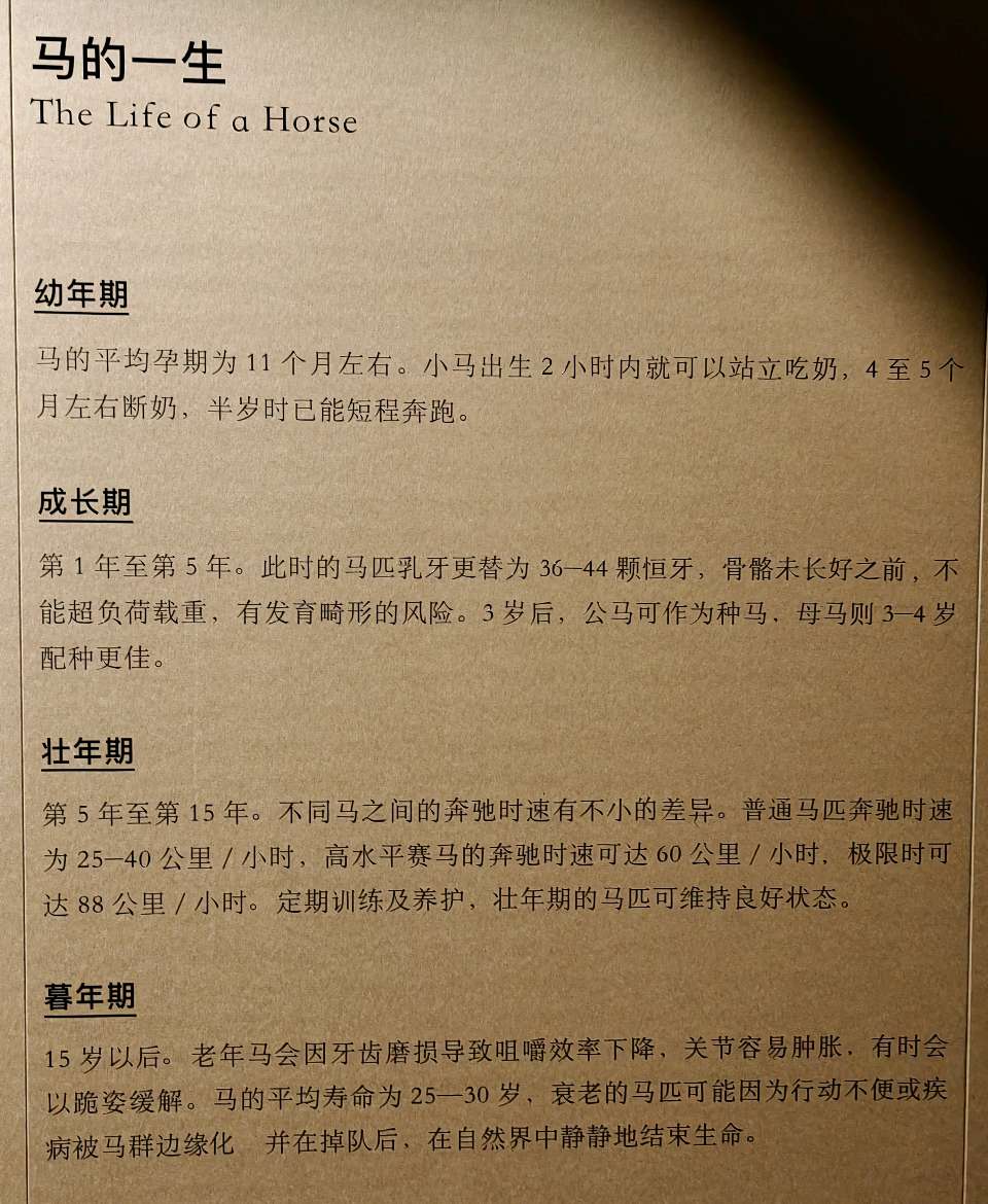 浣溪沙 马年说马（三首）文/江冲（图15）