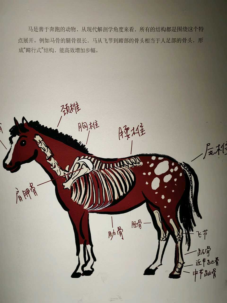 浣溪沙 马年说马（三首）文/江冲（图17）