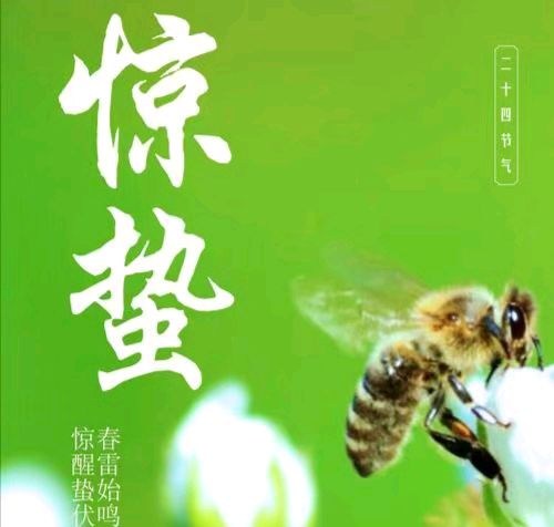 【散文】《雷动山河春启序 万物生晖话惊蛰》 作者: 强军/陕西宝鸡（图3）