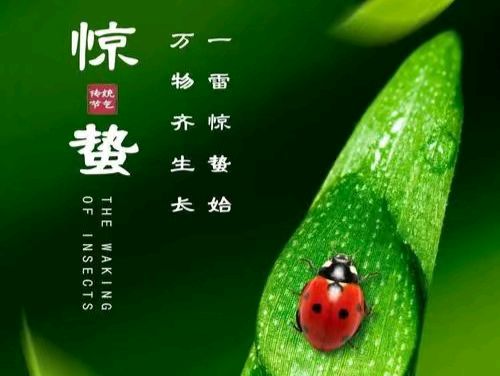 【散文】《雷动山河春启序 万物生晖话惊蛰》 作者: 强军/陕西宝鸡（图11）