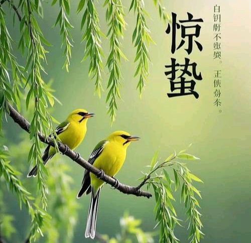 【散文诗】《惊蛰辞》作者: 强军/陕西宝鸡（图5）