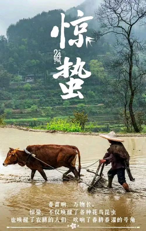 罗马假日（廖庆玉）导师精彩近作暨诗词杰作纷纷被书法家泼墨挥毫与君共赏（图16）