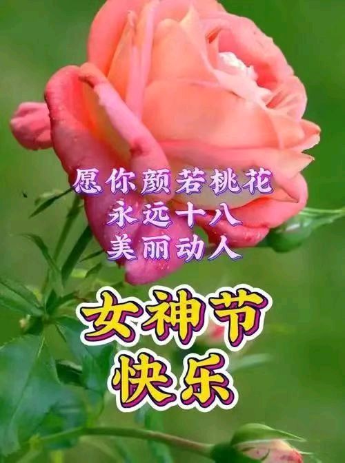 《九江文学社：北京头条》《丙午三八妇女节》专刊（图17）