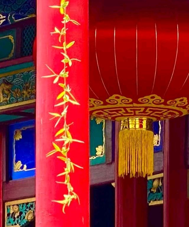 初春柳丝美（图2）