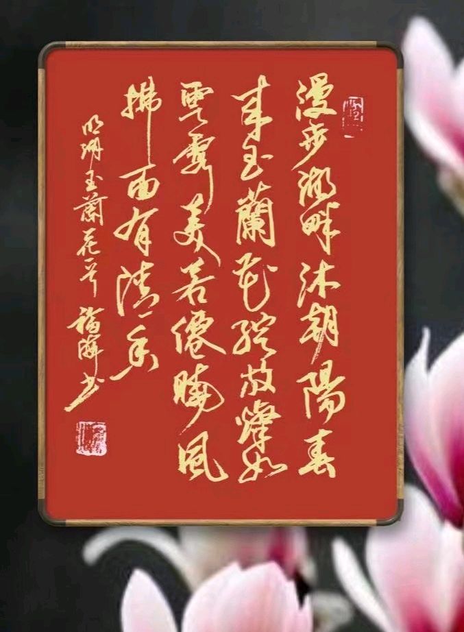 明湖玉兰花