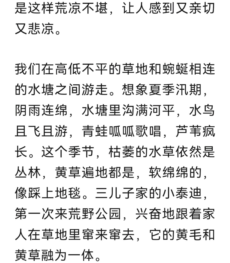 【北京头条】佳 作 欣 赏 ：策马新春 撰文/高秀花 题字/專恆（图11）