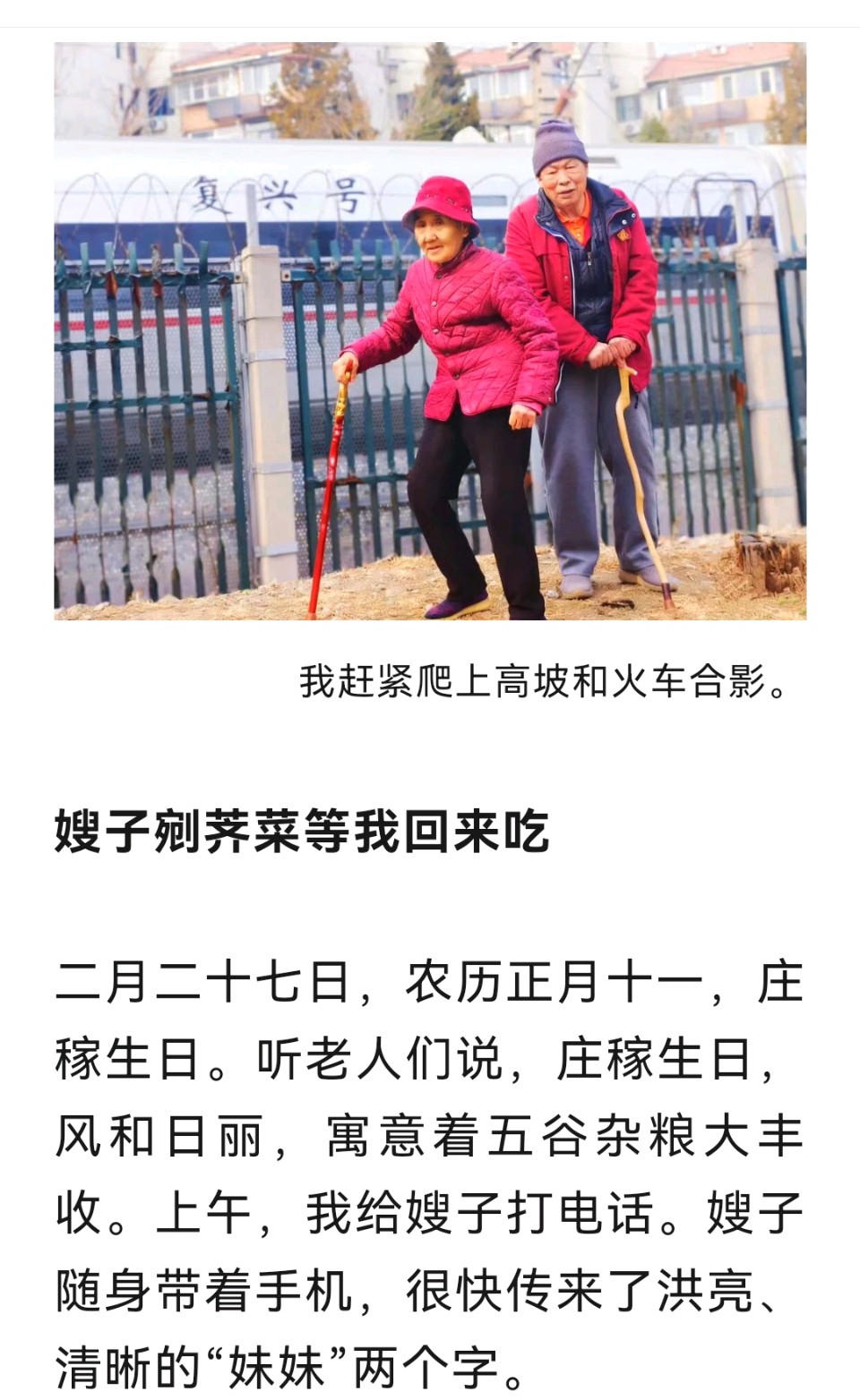 【北京头条】佳 作 欣 赏 ：策马新春 撰文/高秀花 题字/專恆（图21）
