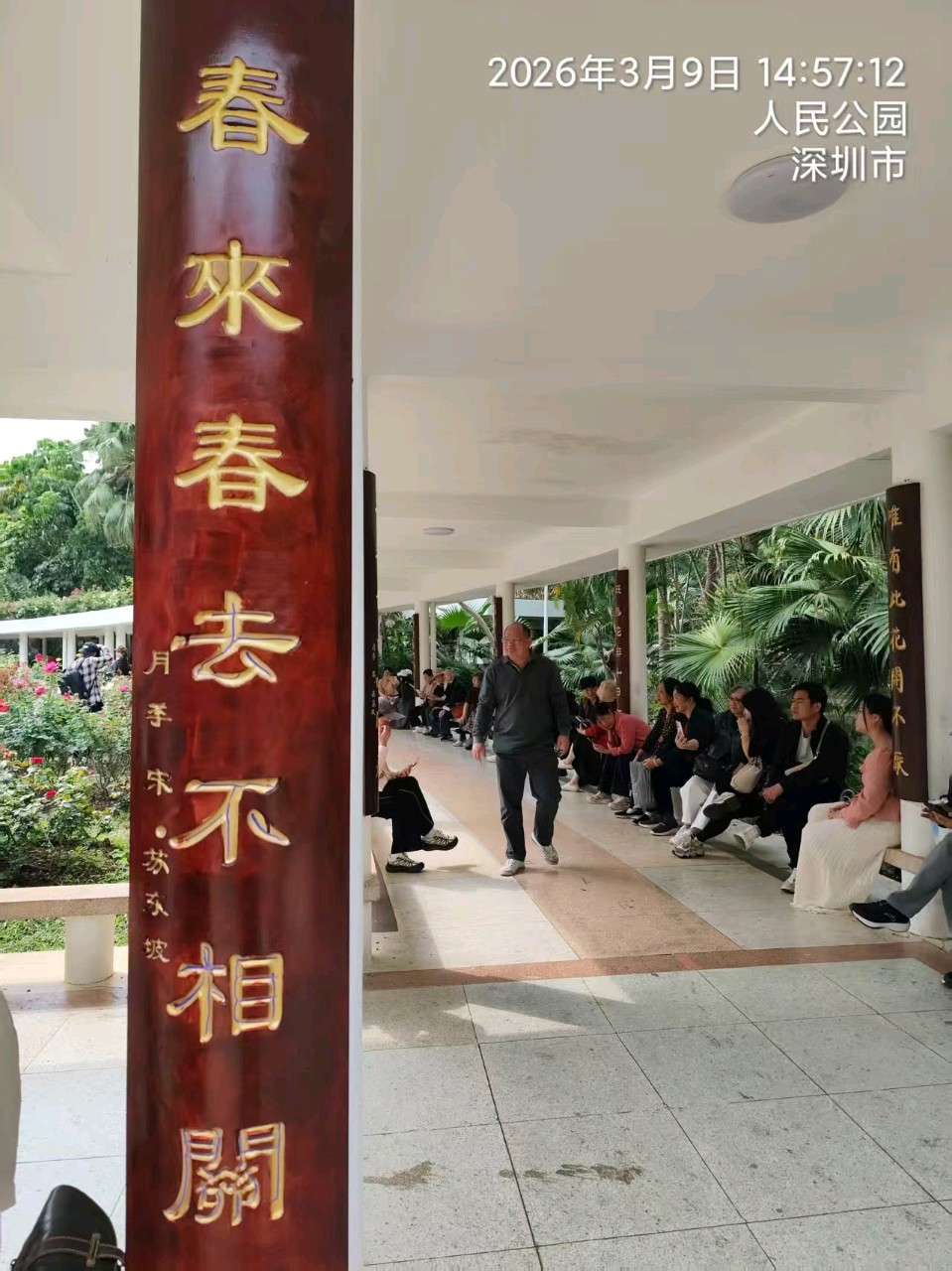 三元七绝诗~人民公园月季/詹成（图5）