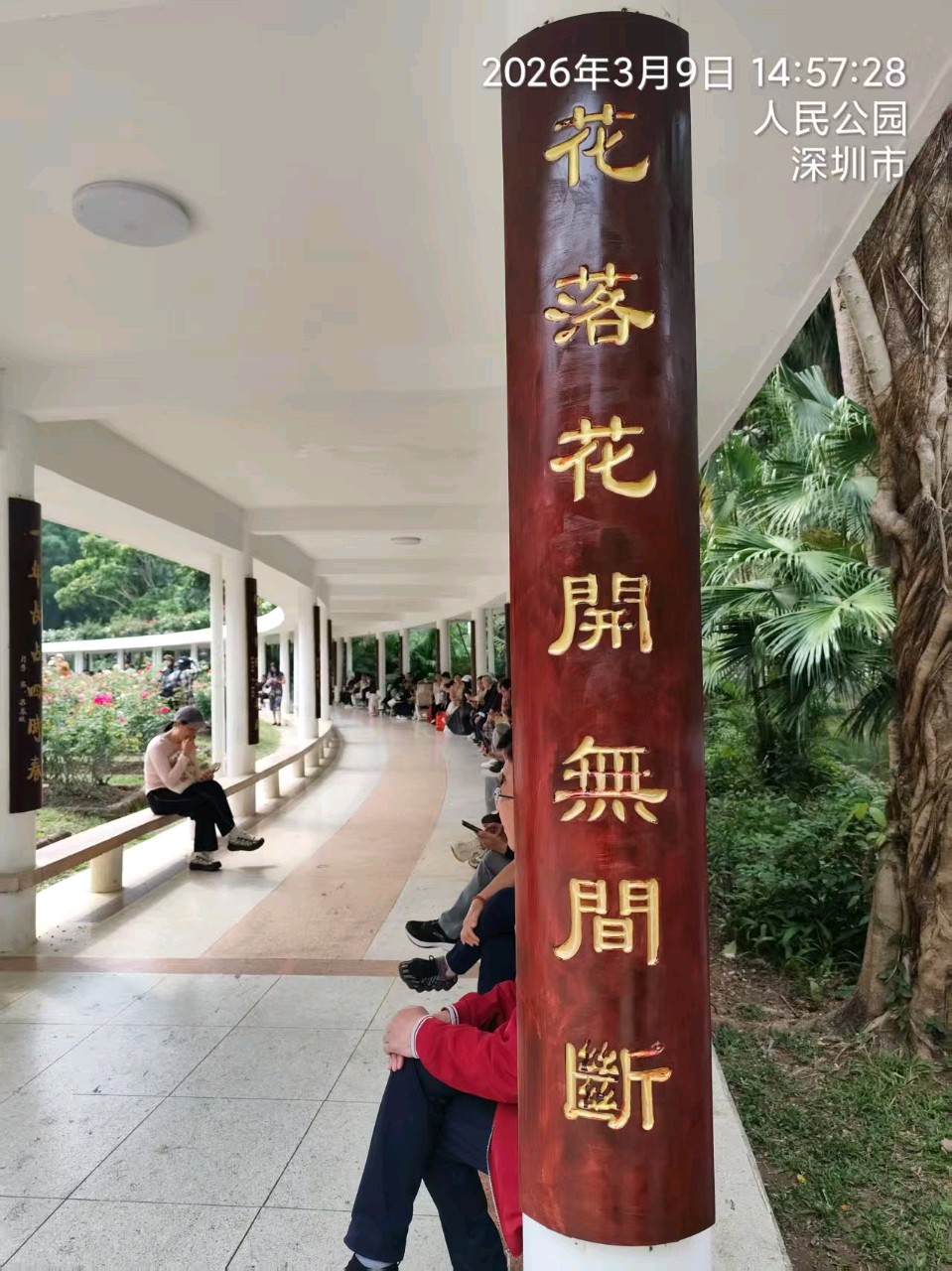 三元七绝诗~人民公园月季/詹成（图4）