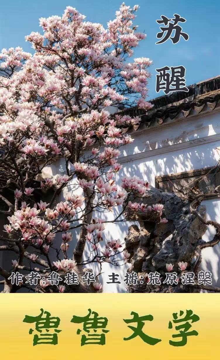 封面 封面