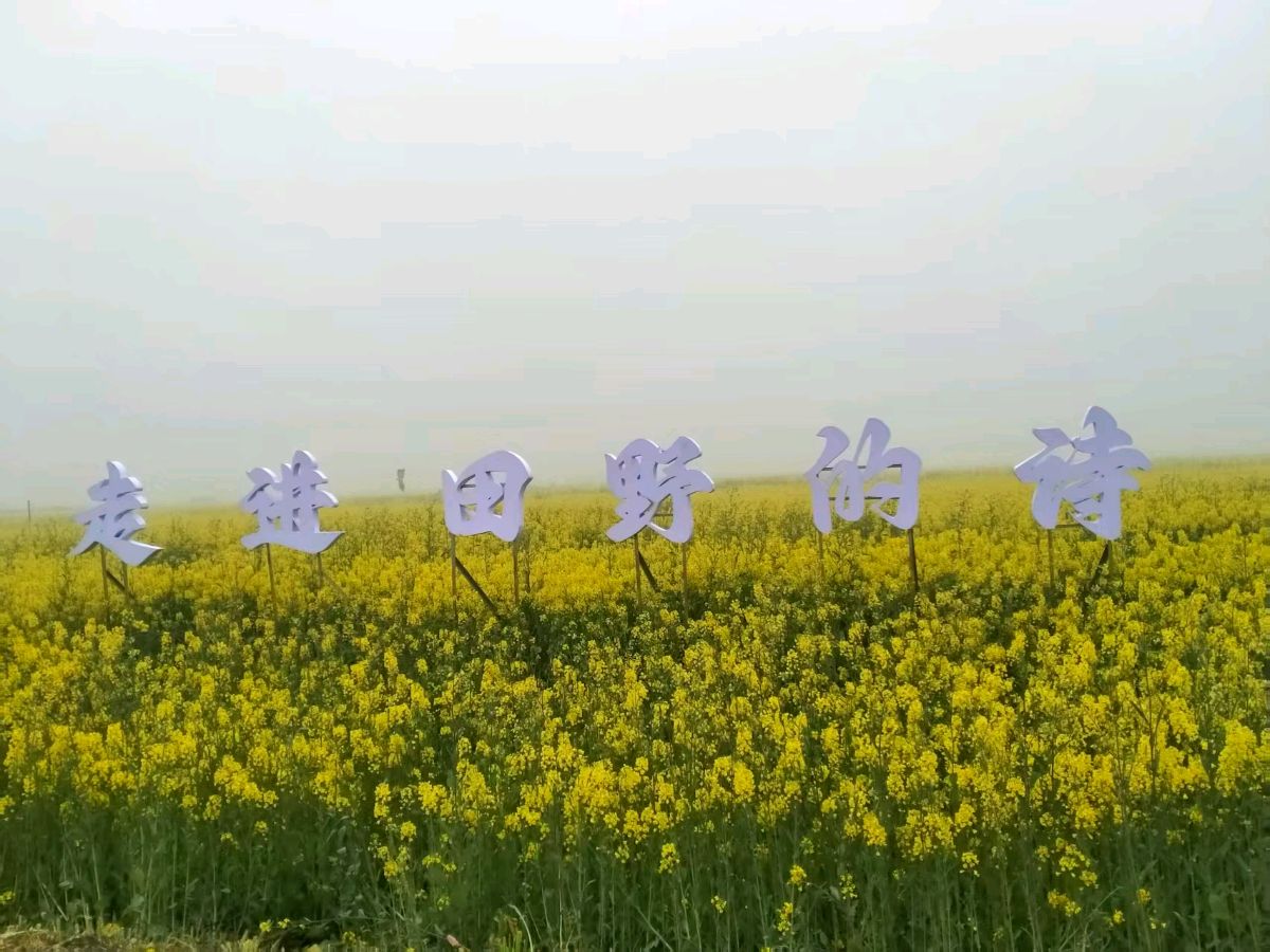大美江湖,花漾中洲(图3)