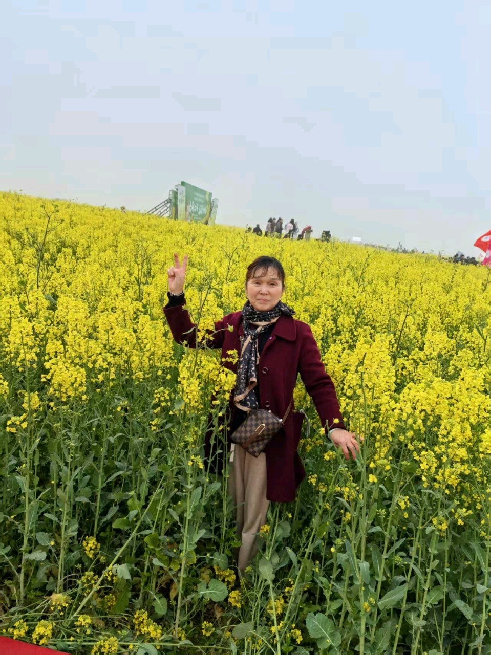 大美江湖,花漾中洲(图7)