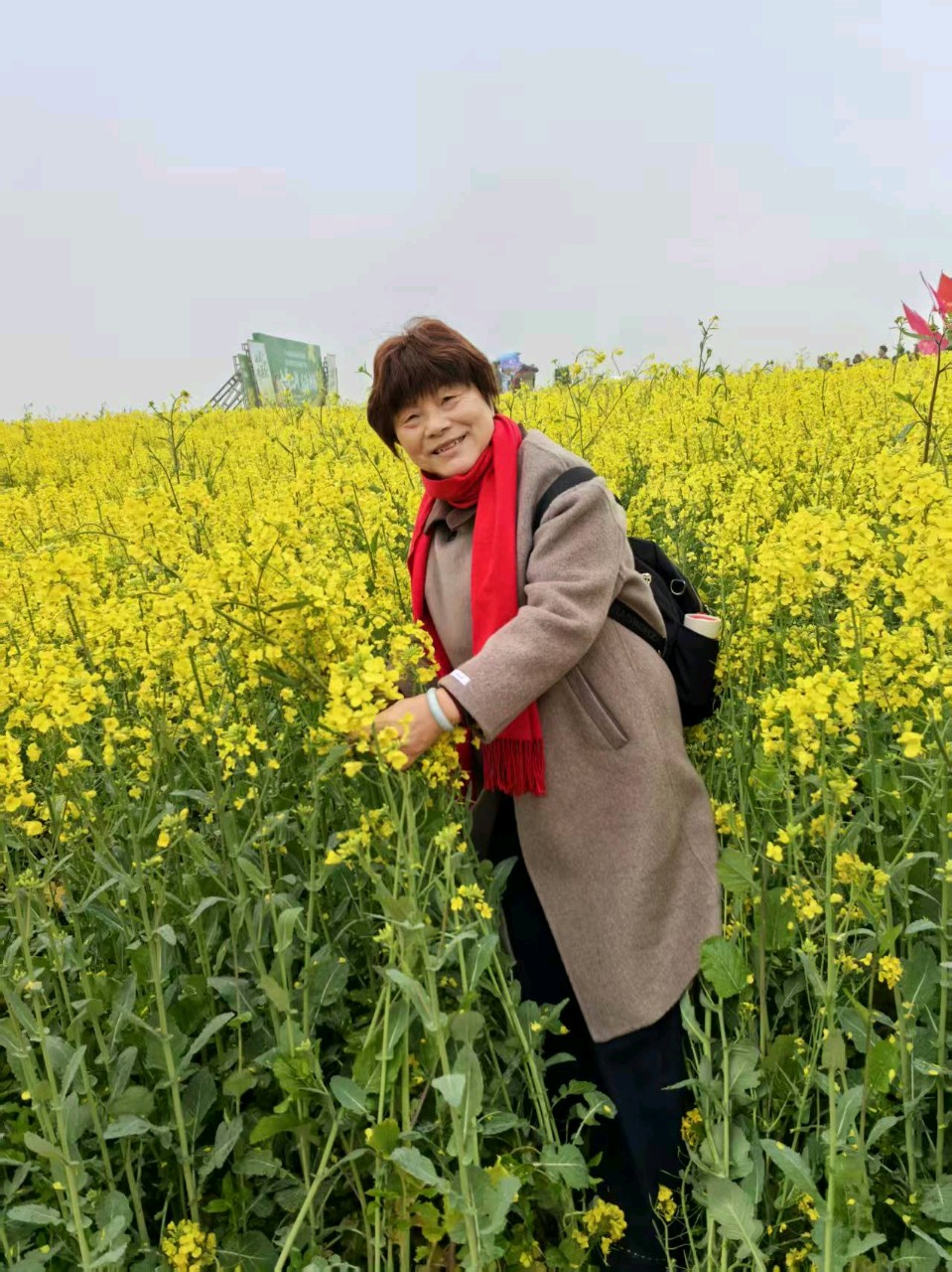 大美江湖,花漾中洲(图8)