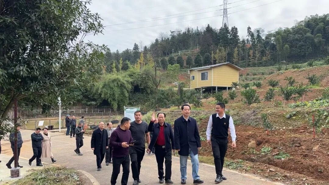 榜样人物|金融家曾昭才:墨香铸金,大写人生|涉江红帆(图9)