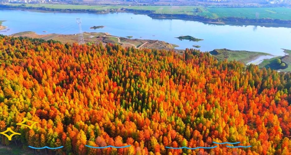 春发声（8）||巴彦诗协【1210】（图5）