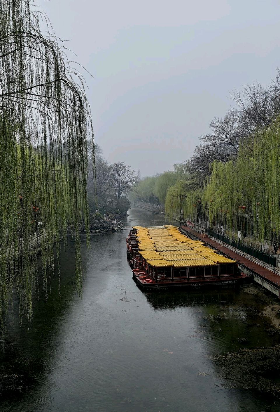雨中护城河🌧️（图2）