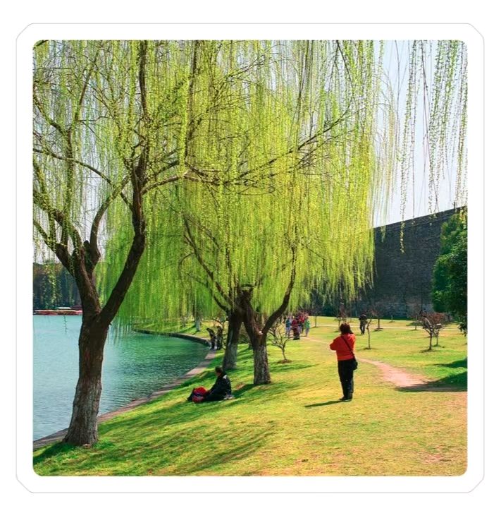 【荣耀中国】文学社*诗•词作者：刘荣（陕西）（图4）