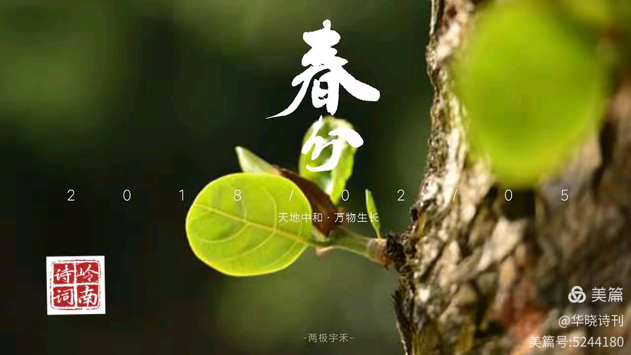 国风总社-240‖丙午春分(合刊)北京头条(图9)
