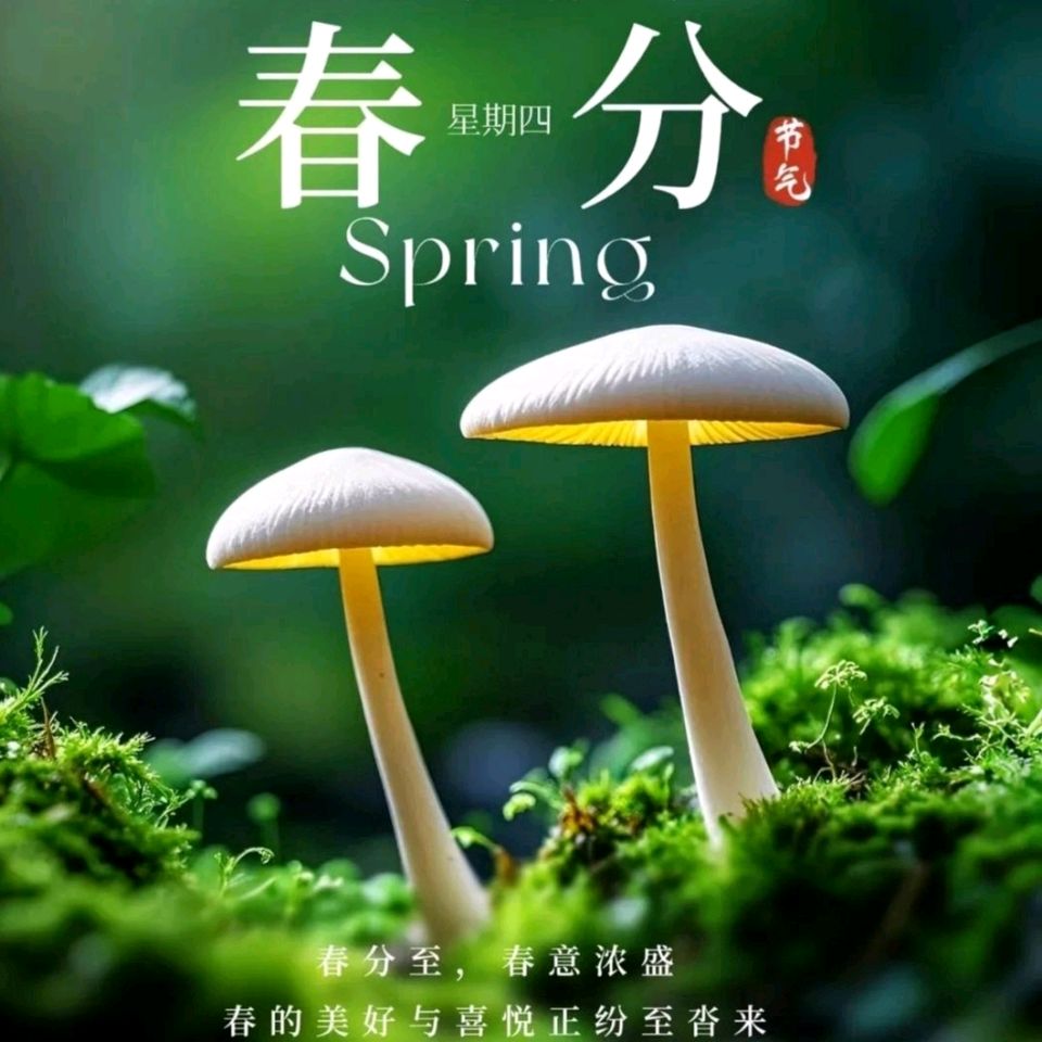 《九江文学社：北京头条》《丙午春分节气》专刊