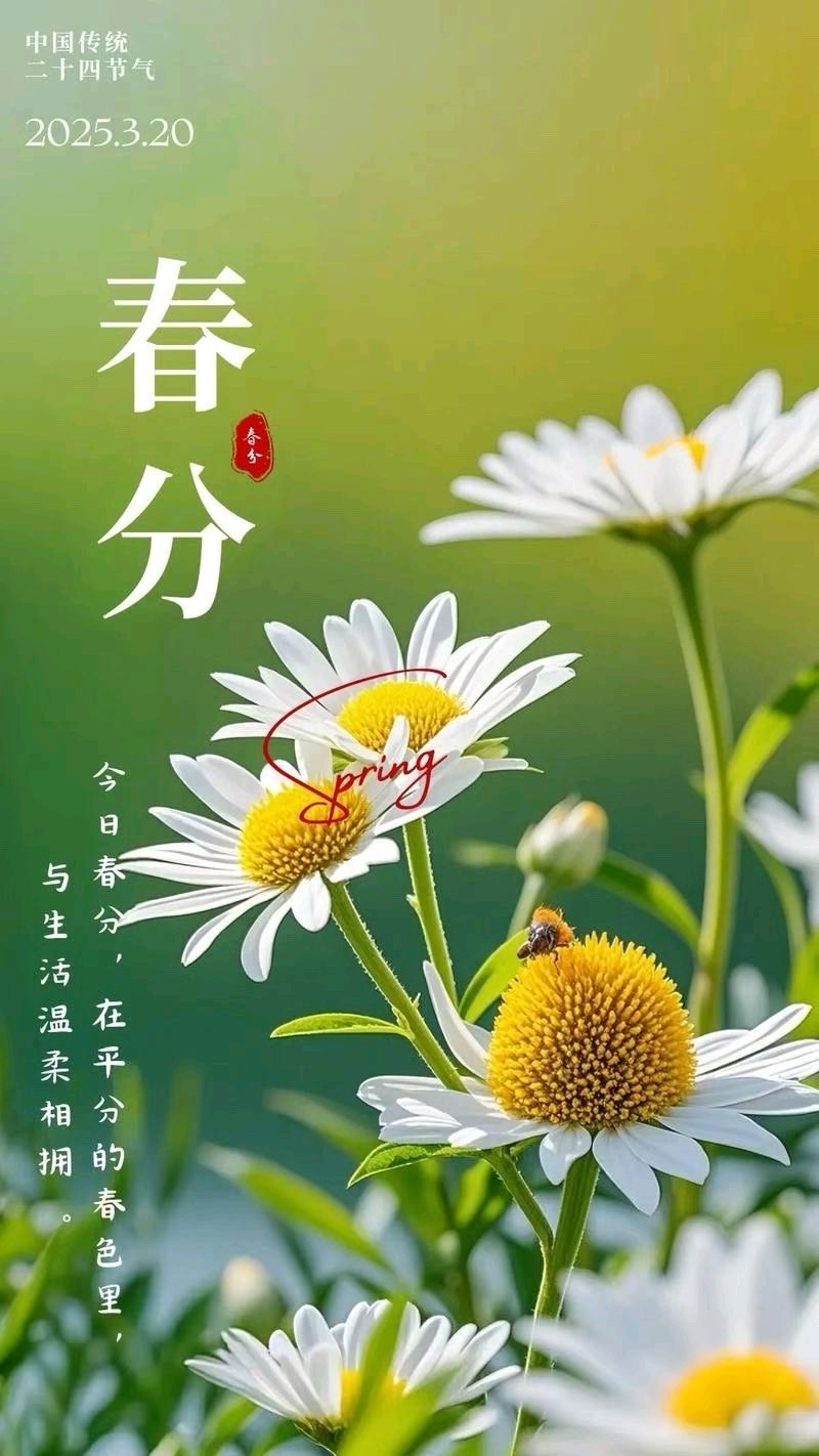 《九江文学社：北京头条》《丙午春分节气》专刊（图6）