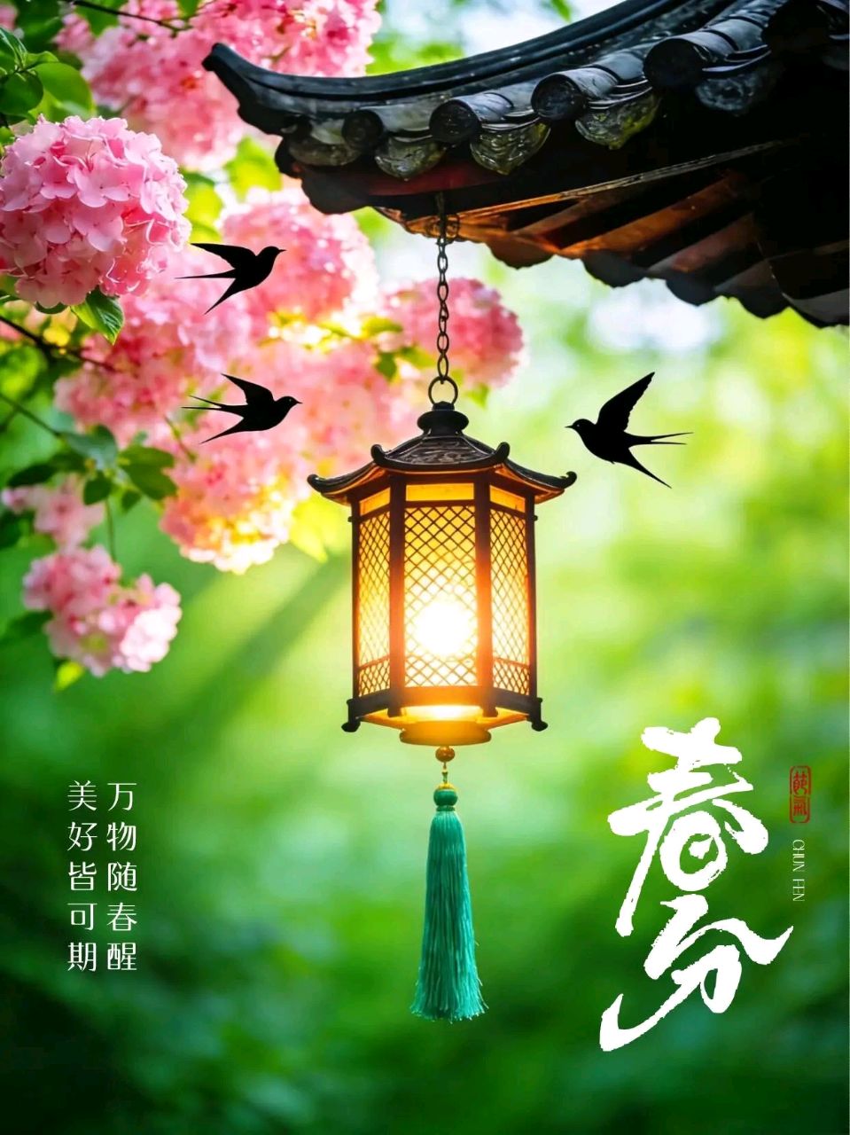 知名诗词家严宗碧老师精彩近作与君共赏（图5）