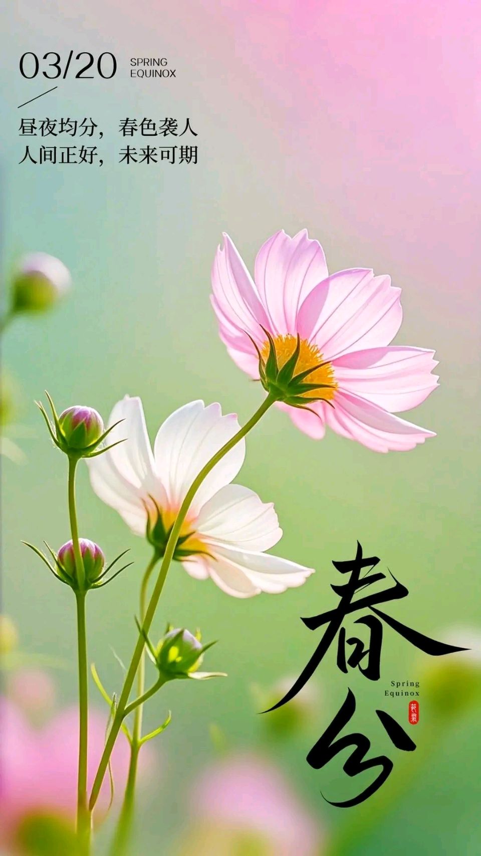 知名诗词家严宗碧老师精彩近作与君共赏（图8）