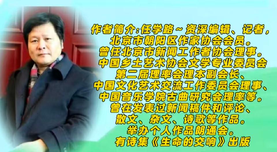 作者——任学路