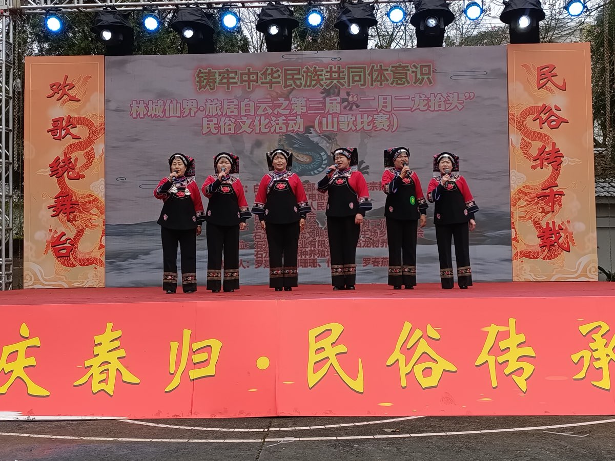 龙腾盛世启新程 民俗传承聚乡情（图21）