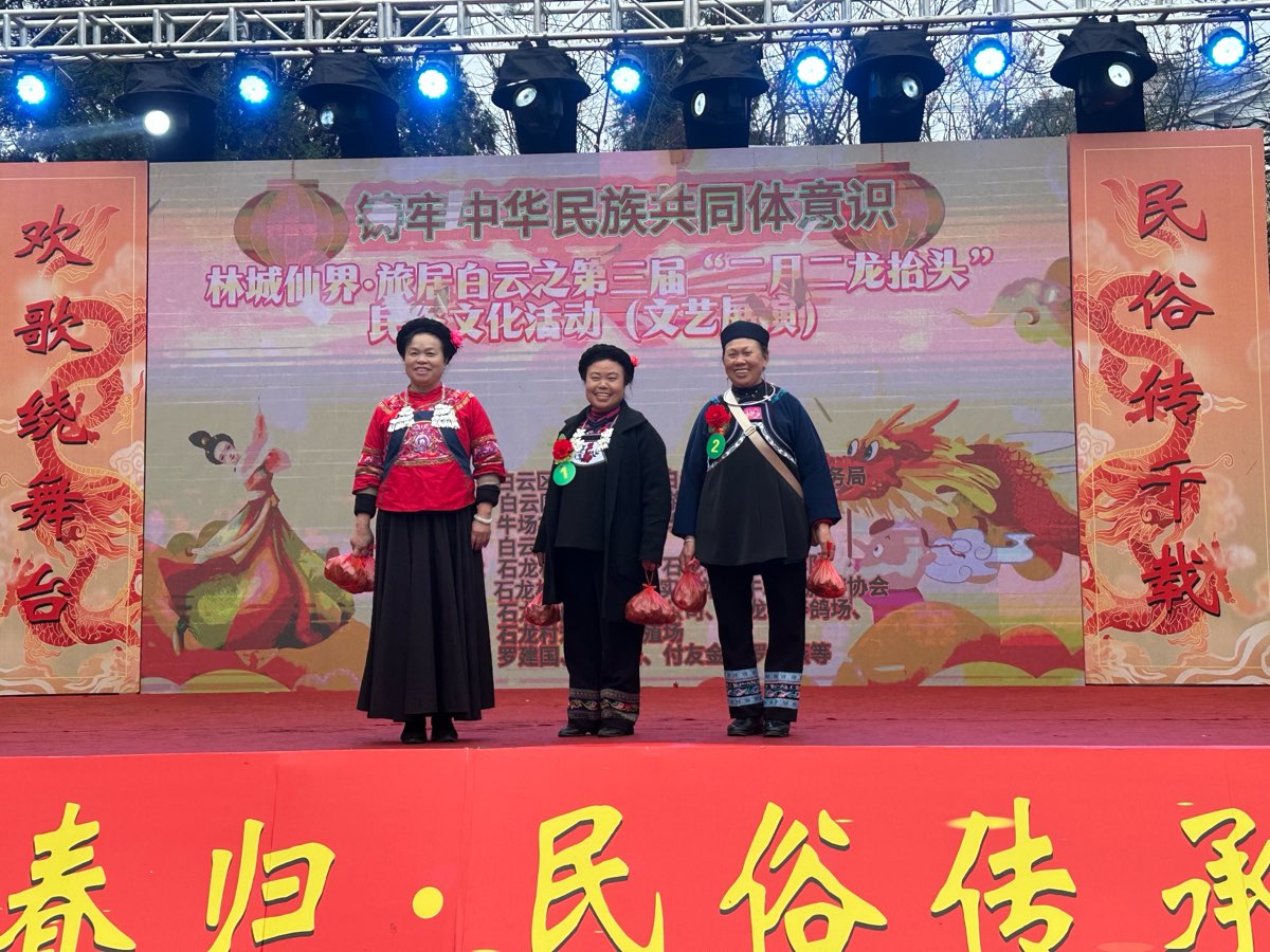 龙腾盛世启新程 民俗传承聚乡情（图40）