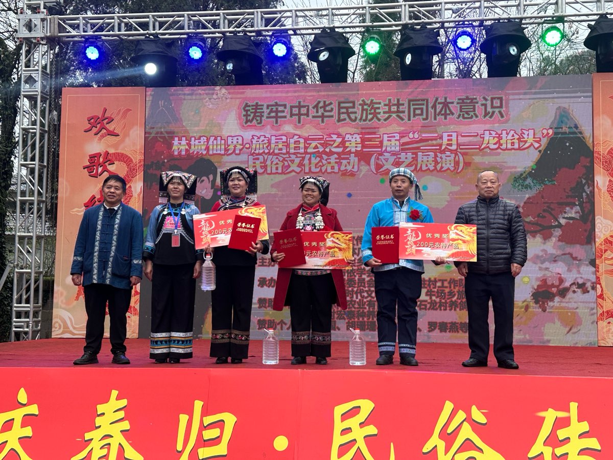 龙腾盛世启新程 民俗传承聚乡情（图39）