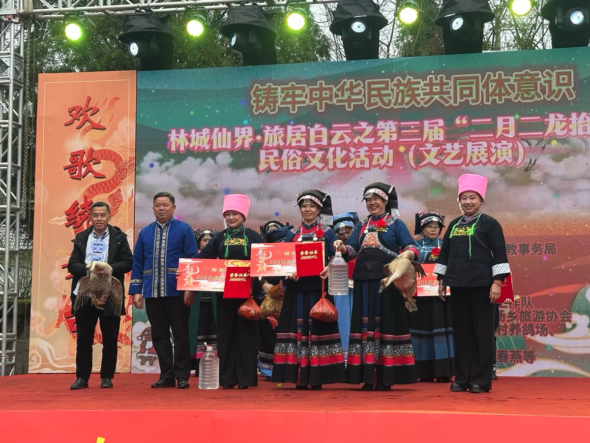 龙腾盛世启新程 民俗传承聚乡情（图37）