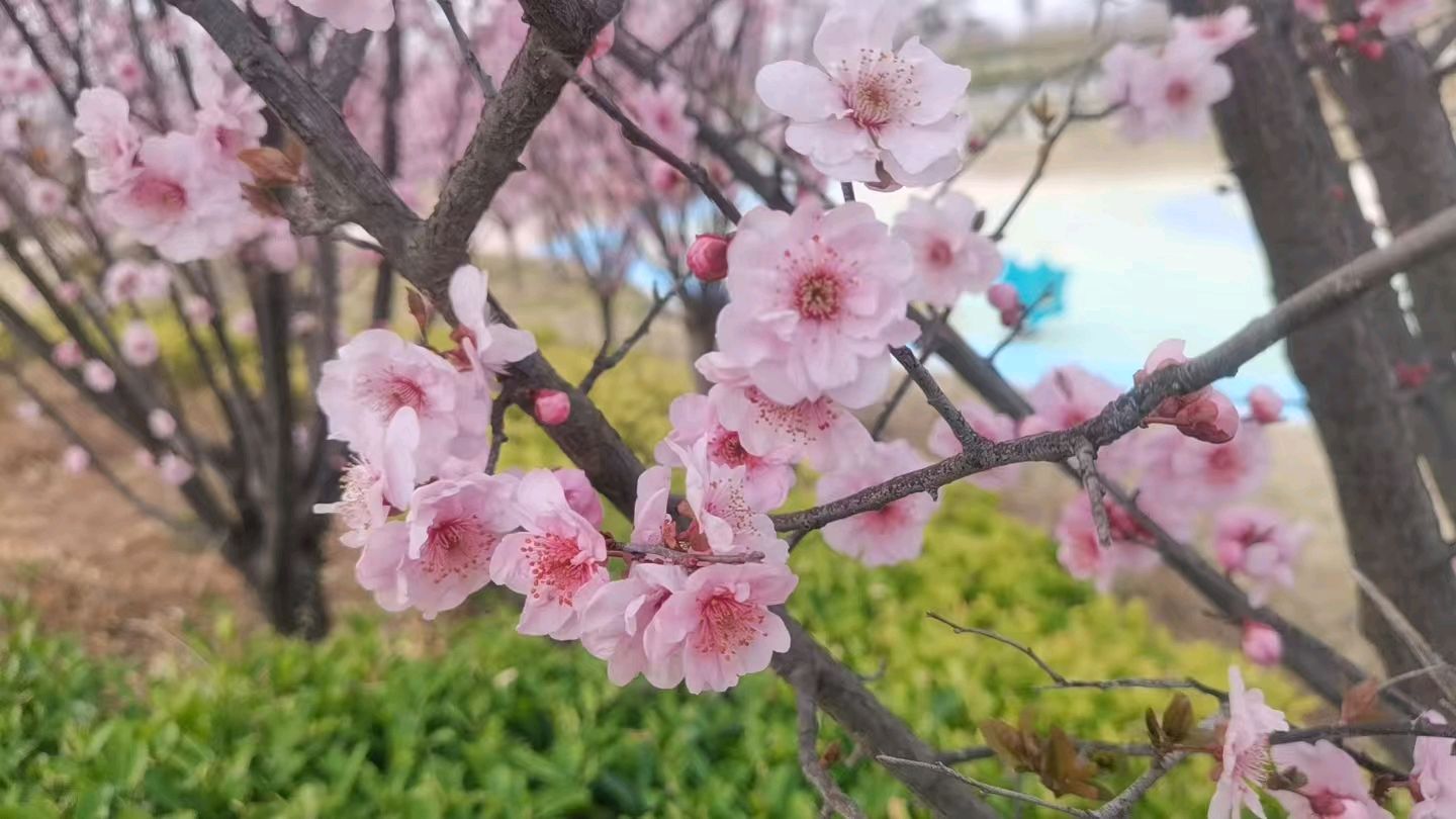 王海青老师新诗欣赏（图2）