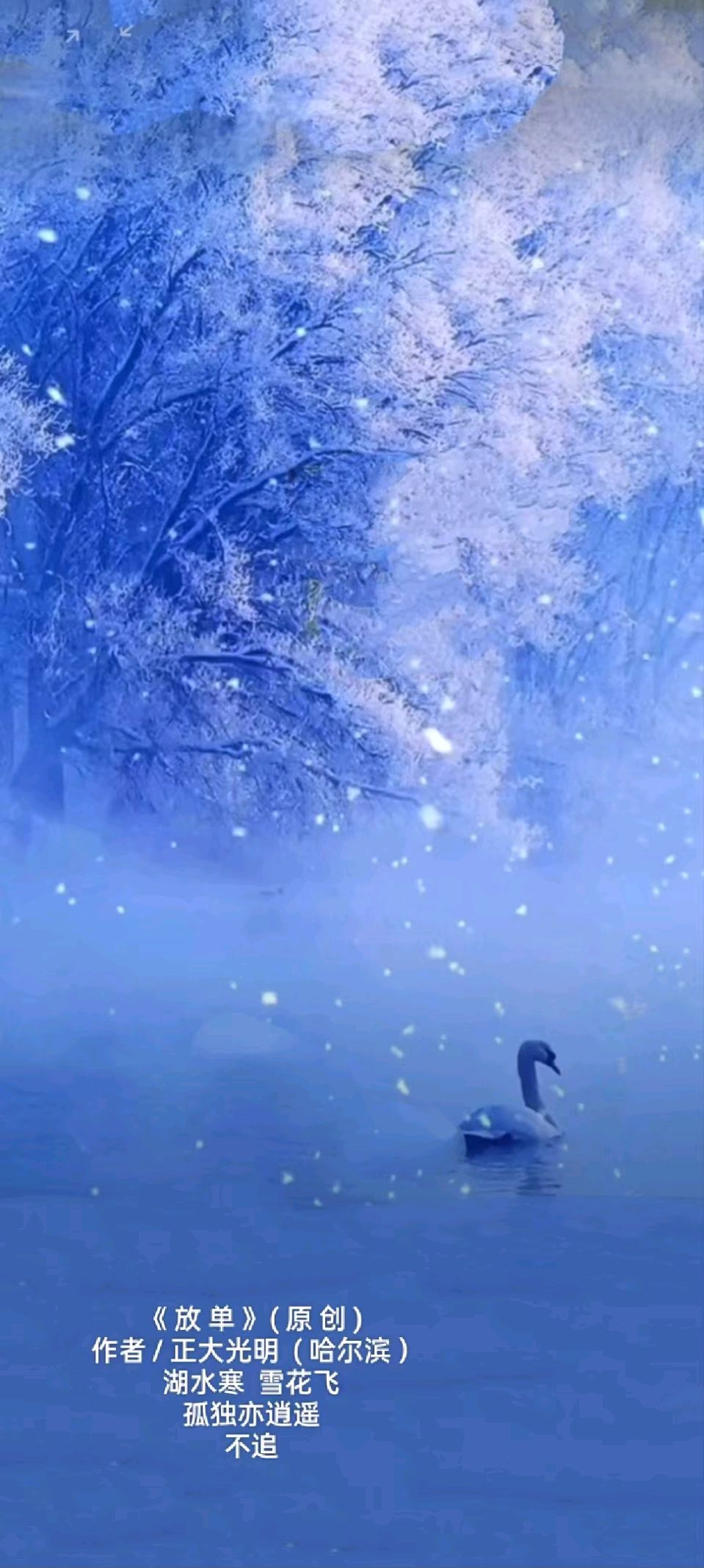 ❤️ 题图微诗一组 • 动物采风/作者/正大光明