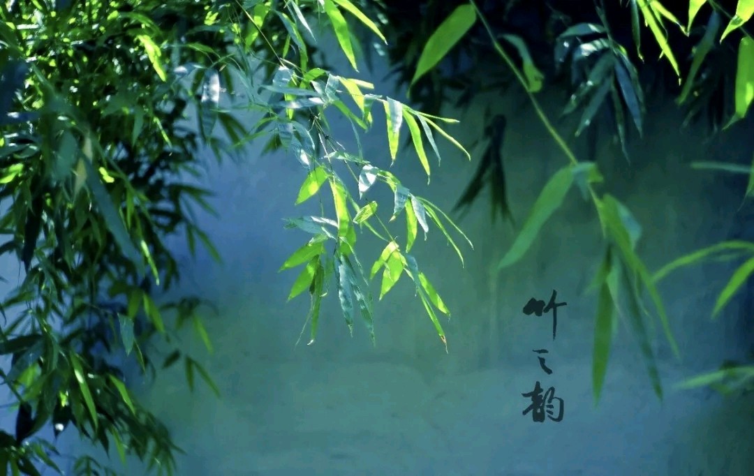 卫水洲的《娱乐场上：不是争输争赢，而是联络感情；唯有开心娱乐，才是生活本真》