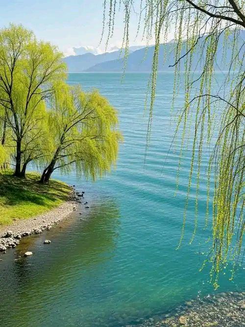 陈正的《春分》（四首）（图4）