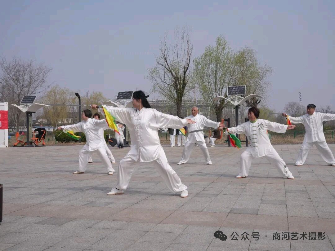 首个太极日，健体展风彩（图8）