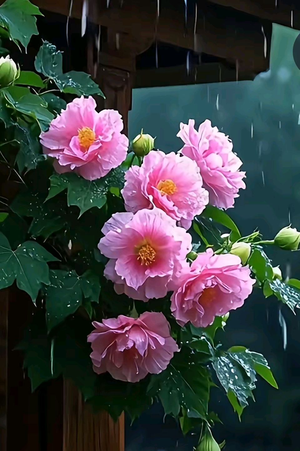 《咏十二个月》作者：牛汉杰 [中国现代诗歌文化传媒]（图14）
