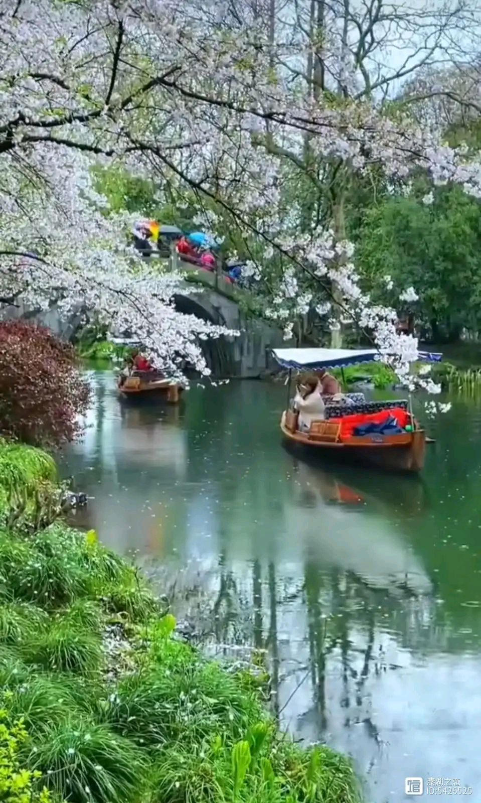 【新山东文学社】《仲春吟(十三首)》作者/江淮闲客 主播/天空(图6)