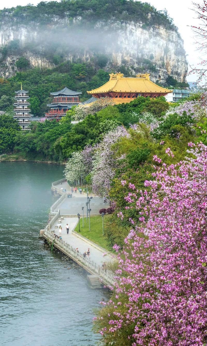 巨龙昂首春分至，诗咏花海赋吟歌——老兵诗词书画文苑3月第3期诗词合辑（图19）