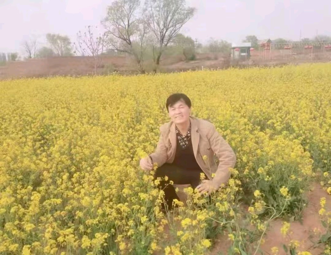 “油菜花”：赵志的诗‖赞太行油菜花开（图2）