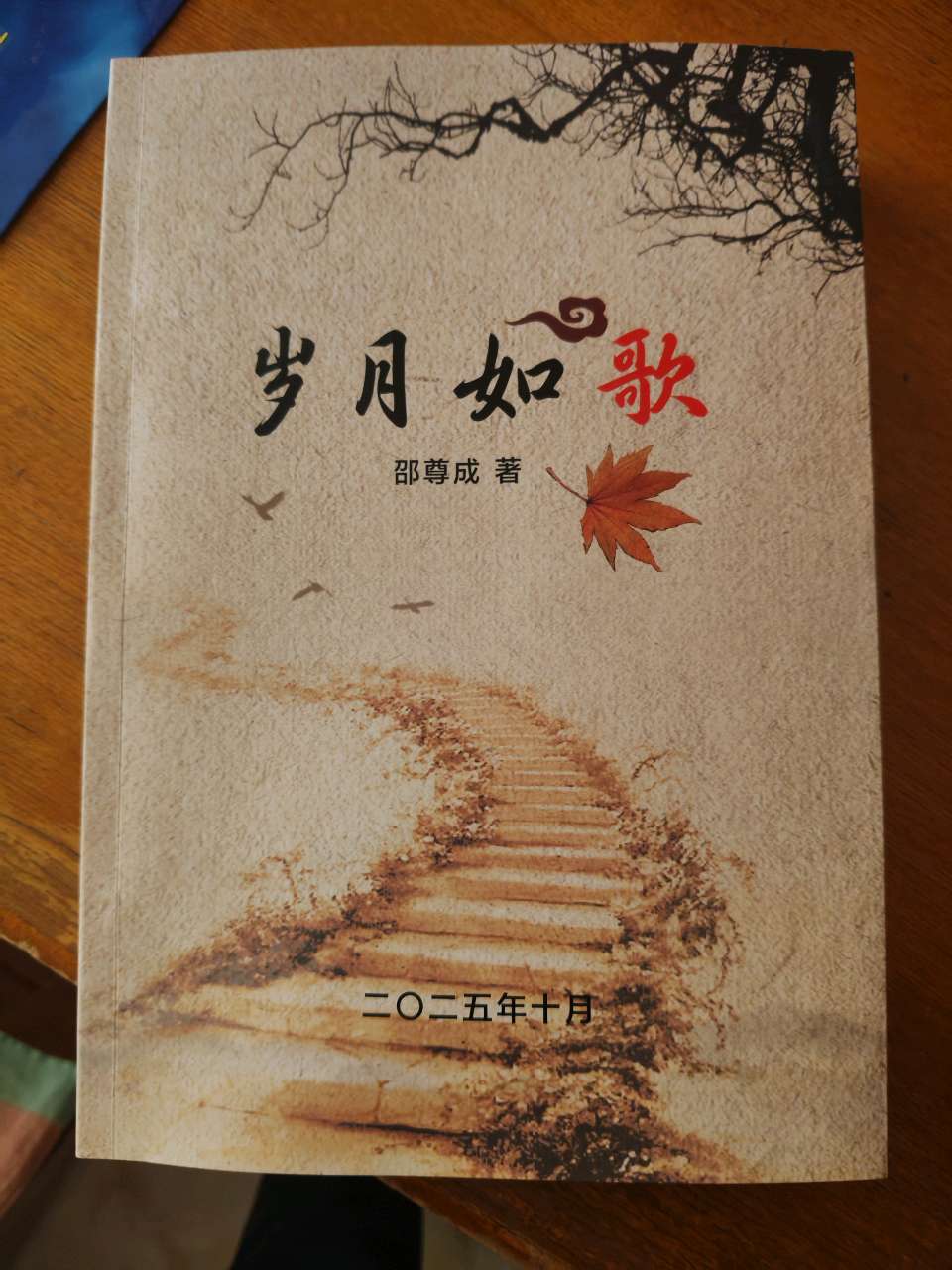 邵尊成//《岁月如歌》后记