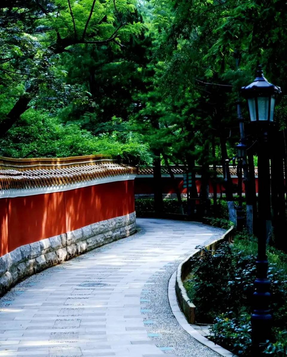 【新山东文学社】抒情散文:《青岛植物园春日漫兴》作者/草门居士（图3）